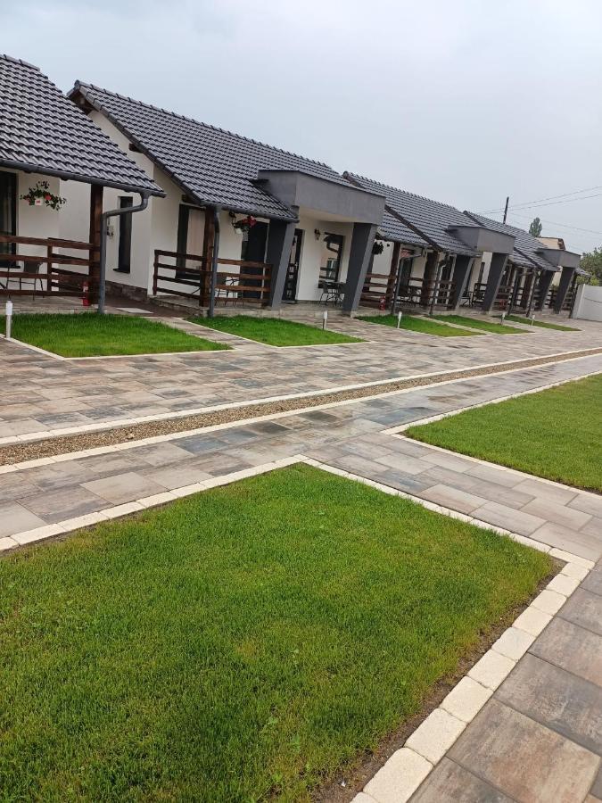 Vila Ge Sebes  Exterior photo